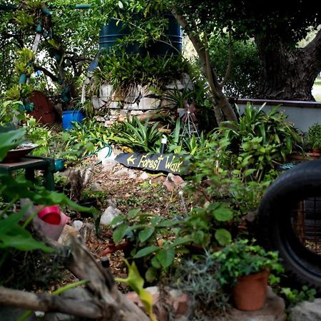 Hostel Zoete Inval Hermanus Zewnętrze zdjęcie
